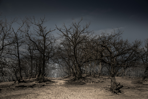 Whats behind the hill?